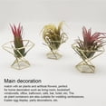 thumbnail image 3 of Soporte de exhibición Soidarity para plantas de aire de metal rosa estrella, 3 of 6