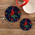 thumbnail image 2 of SKYSONIC 2 pcs Winter Cardinals Fir Pot Holders Trivets, Heat Resistant Trivets,Birds Pine Cons Snowflakes Cotton Thread Weave Mats for Hot Pads Pans Pot Bowl Teapot, 2 of 7