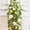A, variant on KUNPENG Artificial Flower Garland, Realistic Peony Vine for Wedding Arch and Spring Home Decor, Faux Silk Hanging Floral String for Party and Photography Prop, 1 Count