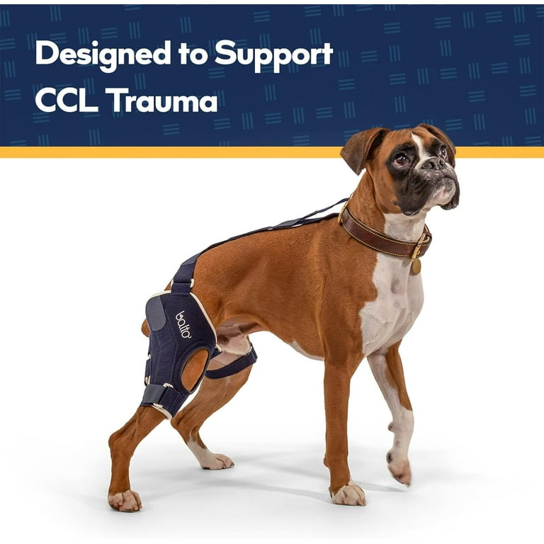 Balto Jump CCL Brace Dog Knee Brace Brace with Aluminum Splints Pre Post Surgery Support Helps Prevent New Injuries Left Leg Extra Extra Small Walmart