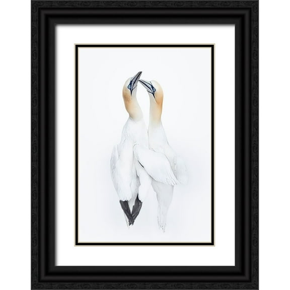 Fu, Molly 11x14 Black Ornate Wood Framed with Double Matting Museum Art Print Titled - Love In The Air