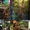 thumbnail image 3 of Moss Vine for Reptiles, Bendable Climbing Vines Reptile Tank Accessories, Natural Moss Rope for Leopard Gecko, Lizard, Snake, Chameleon, Frog Terrarium Decor (Jungle Green, 9.8 FT), 3 of 7