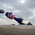 thumbnail image 7 of In the Breeze 5225 — 30-inch Black & Rainbow Damsel Fish — Colorful Fishsock Hanging Garden Decor with Detailed Printed Graphics, 7 of 7