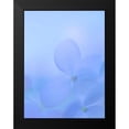 thumbnail image 2 of Mahan, Kathy 15x18 Black Modern Framed Museum Art Print Titled - Hydrangea Paniculata I, 2 of 5
