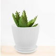 thumbnail image 3 of HXRH Plastic Flower Pots with Saucers & Drainage,6 Pack Plant Pots for Indoor,Modern Resin Planters,for Garden Flowers Succulents,Home Decor,7.5/6.5/5.5/4.9/4.2/3.5 Inch,White, 3 of 7