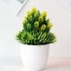 thumbnail image 3 of 8 piezas de plantas de simulación en maceta, plantas verdes, bonsái, plantas decorativas para el hogar, bonsái de escritorio, flores de plástico, bonsái, 3 of 5