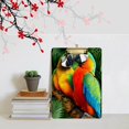 thumbnail image 5 of FMSHPON Colorful Parrot Birds Clipboard Hardboard Wood Nursing Clip Board and Pull for Standard A4 Letter 13x9 inches, 5 of 5