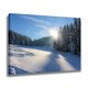 thumbnail image 2 of Póster de lienzo con diseño de árbol, sol y nieve, decoración para dormitorio, paisaje deportivo, decoración para oficina, regalo, estilo marco, 16 x 24 pulgadas (40 x 60 cm), 2 of 8