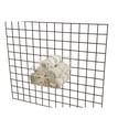 thumbnail image 4 of Econoco BSK14-W 12 x 12 x 8 in. Sloped Front Basket  White - Semigloss  Pack of 6, 4 of 4