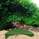 thumbnail image 1 of Shrimp Breeding Protector Aquarium Fish And Shrimp Evacuation House Shrimp Protection Device Shrimp Cave Small Fish Cave Aquarium Tank CaveFeatures: Quantity: 1pcMatter: PlasticColor:, 1 of 8
