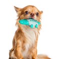 thumbnail image 3 of Juguete Masticable perfecl para perros Palo Molar atención Bucal, 3 of 8