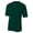 FOREST GREEN, variant on Adult Tek 2-Button Henley Jersey N3143