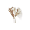 thumbnail image 1 of Pampas Secas 60 Pzs Plantas Decorativas Flores Artificiales beige/cafe, 1 of 4