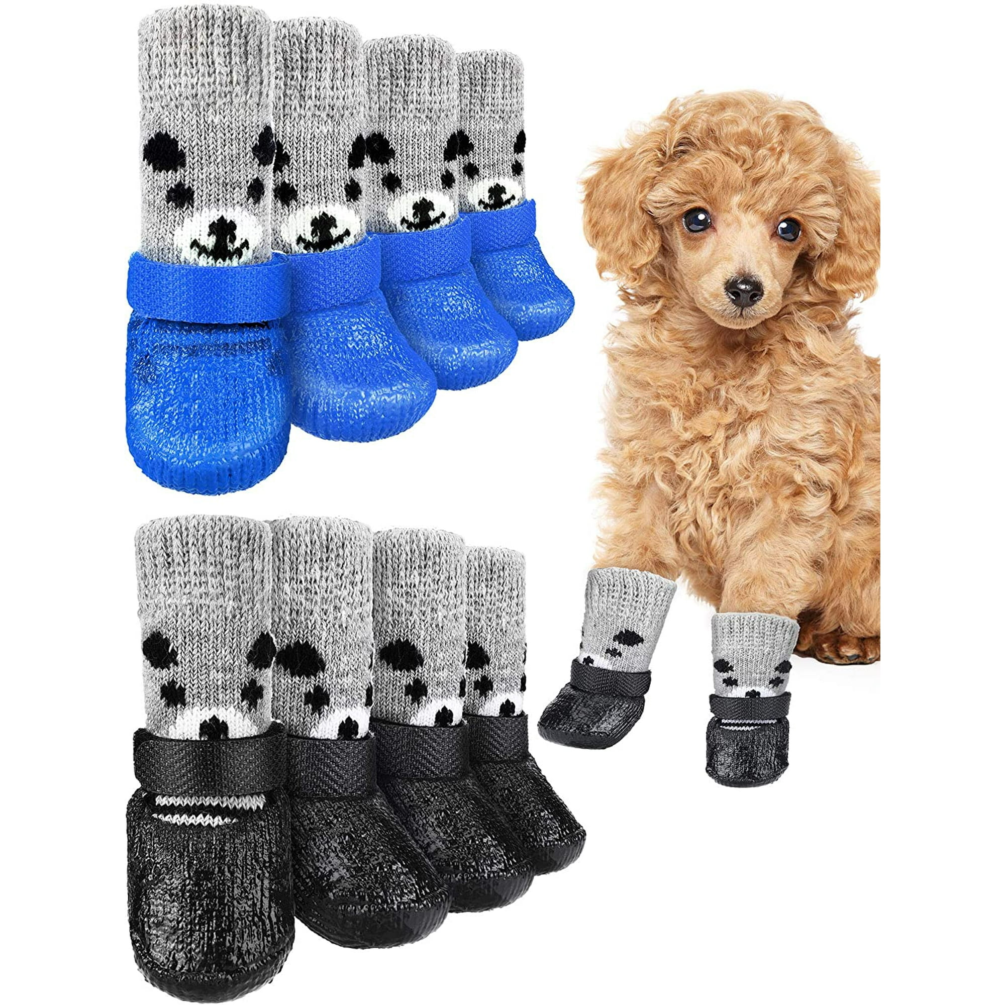 Can You Put Socks On A Dog