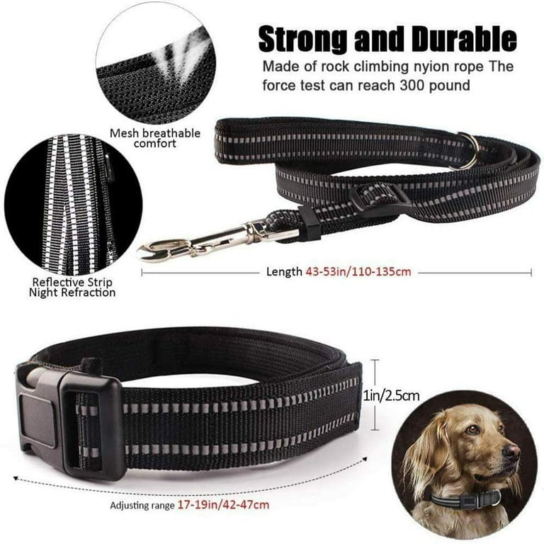 Toy dog sale leashes and collars