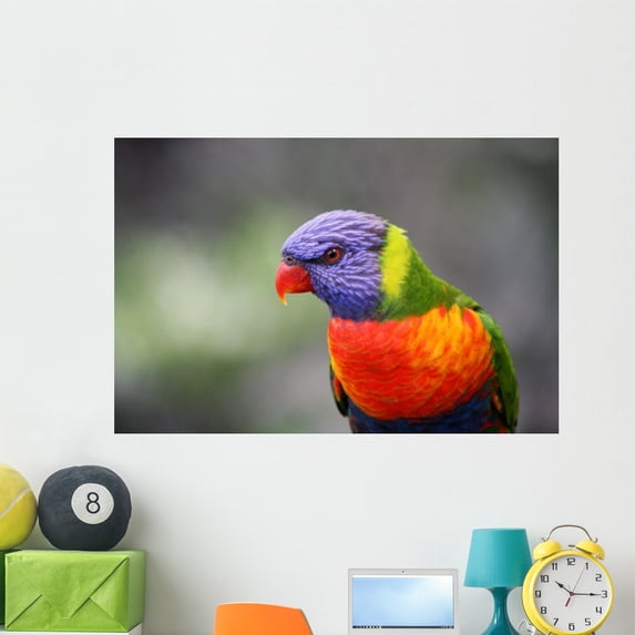 Sittich Wall Mural by Wallmonkeys Peel and Stick Graphic (48 in W x 32 in H) WM2352