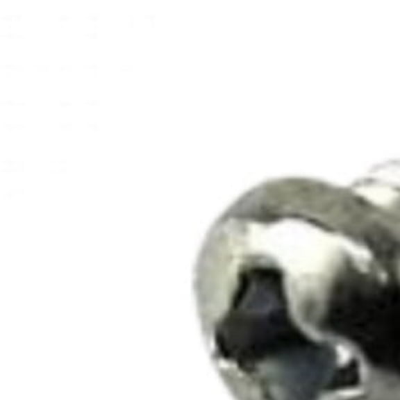 MD Lower Blade Replacement Screws- Fits Andis Master