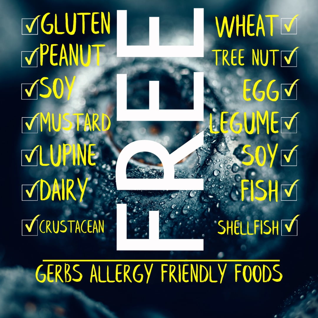 Dried Blueberries by Gerbs - 2 LBS - Sweetened - Unsulfured - Top 14 Food Allergen Free & NON GMO