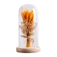 thumbnail image 2 of Regalos de flores para iluminar flores en cúpula de cristal, regalos del Día de San Valentín, lámpara LED de mesa para cafetería, fiesta, aniversario madera Yinane lámpara de noche, 2 of 8