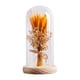 thumbnail image 2 of Regalos de flores para iluminar flores en cúpula de cristal, regalos del Día de San Valentín, lámpara LED de mesa para cafetería, fiesta, aniversario madera Yinane lámpara de noche, 2 of 8