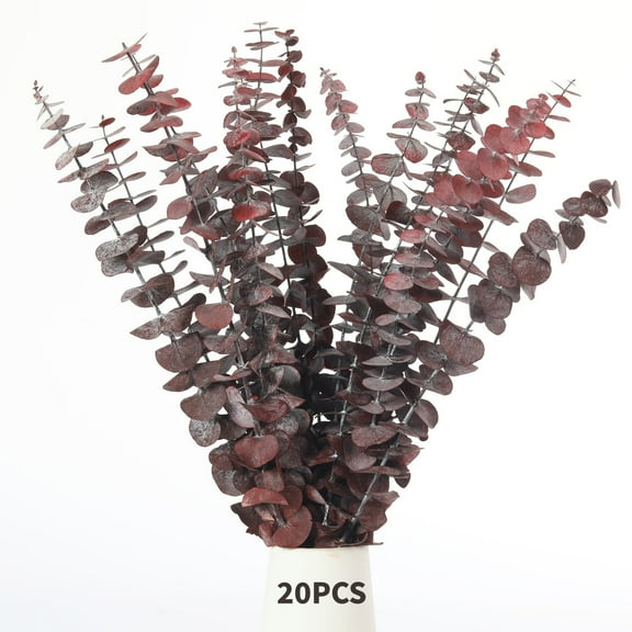 Trianu 20 Pcs Dried Eucalyptus Bundle Fresh Eucalyptus Branches 17 in Real Natural Preserved Eucalyptus Stems for Home Decor Flower Arrangement Wedding Party - Red
