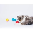 thumbnail image 5 of Pelota interactiva para perros, tamaño grande, Qwerks Babble Ball, 5 of 5
