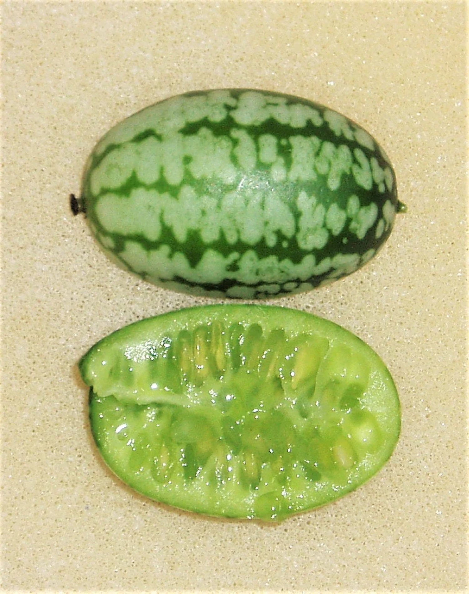 Cucamelon Vine Seeds, Mouse Melon, Tiny Cucumbers, Melothria Scabra ME0110  