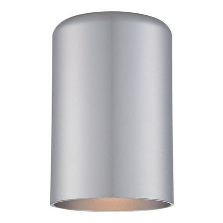 

HomeRoots 398526 6.88 x 4.5 x 6 in. 1-Light Brushed Silver Cylinder Wall Sconce