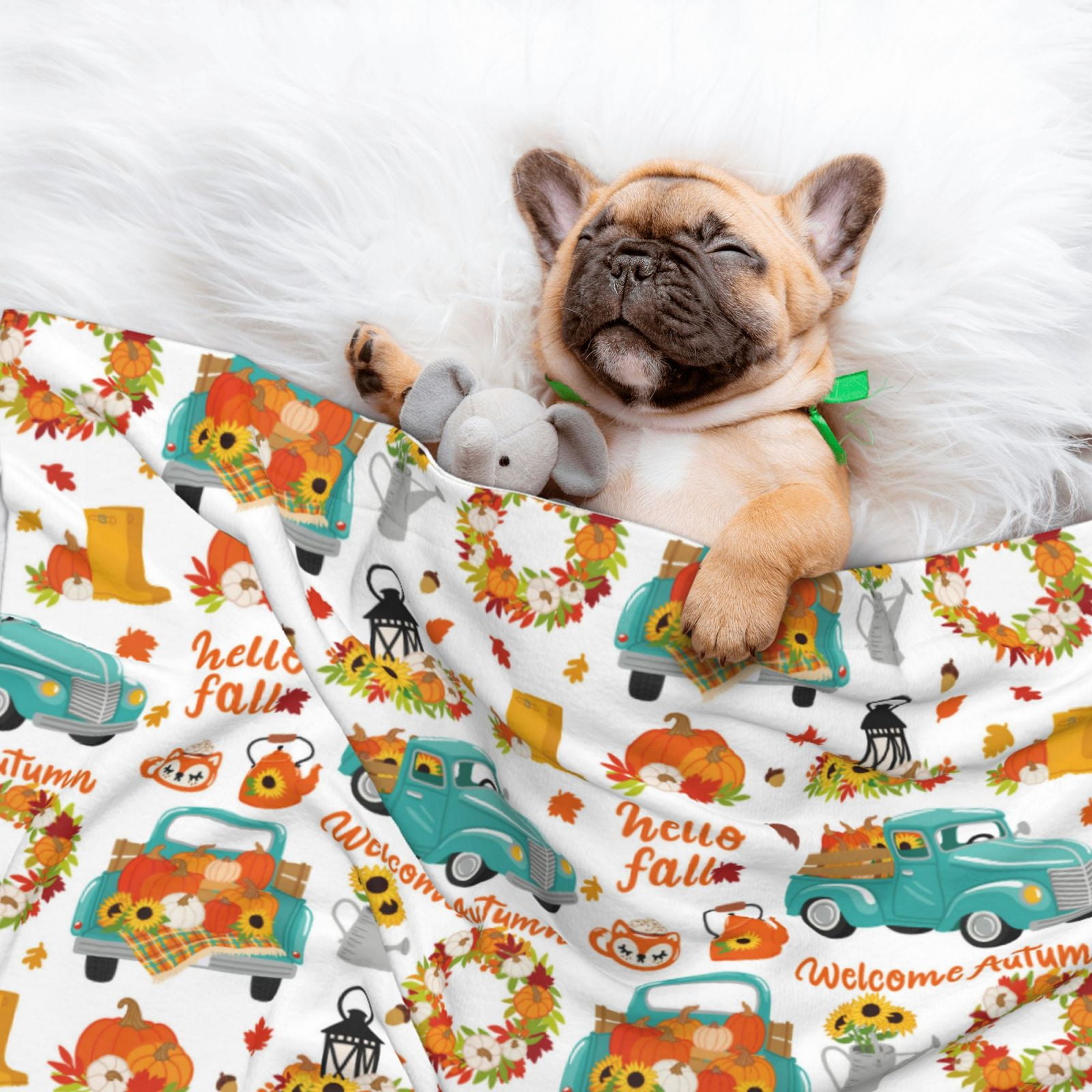 Naloa Fall Pumpkins And Sunflowers Dog Blanket, 3 Sizes Cat Blanket for Indoor Cats Large Medium Small Dog Gifts-Small
