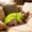 Green, variant on Hairless Cat Hoodie, Soft Winter Coat for Hairless Cats, Cat Sweater Clothes for Cold Weather