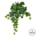 thumbnail image 2 of Vickerman 18 Pouces Vert Ivy Hanging Bush 3/Pk - FZ190118, 2 of 3