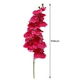 thumbnail image 6 of harmtty Decorative Artificial Flower Nice-looking Realistic Fake Phalaenopsis Orchid Plants Home Decor,Beige, 6 of 8
