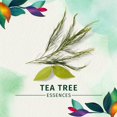 Herbal Essences Tealightfully Clean Clarifying Shampoo with Tea Tree