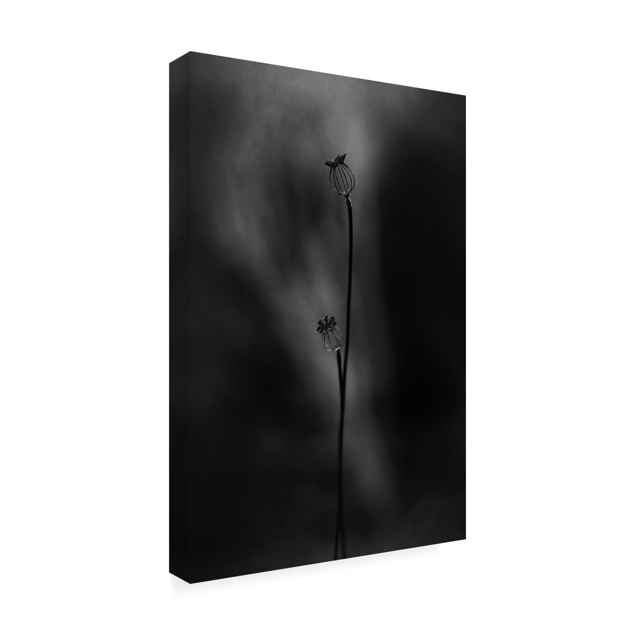 Canvas Wall Art - Lotte Gronkjar 'Old Poppies' Wall Art for Living Room, Bedroom, or Office Décor by Trademark Fine Art - 16 x 24 Inches