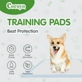 thumbnail image 4 of COCOYO  Dog Training Pads Giant Size  XXXL Size (30" x 45", 30 Count) Super Absorbent Puppy Pads, 4 of 7