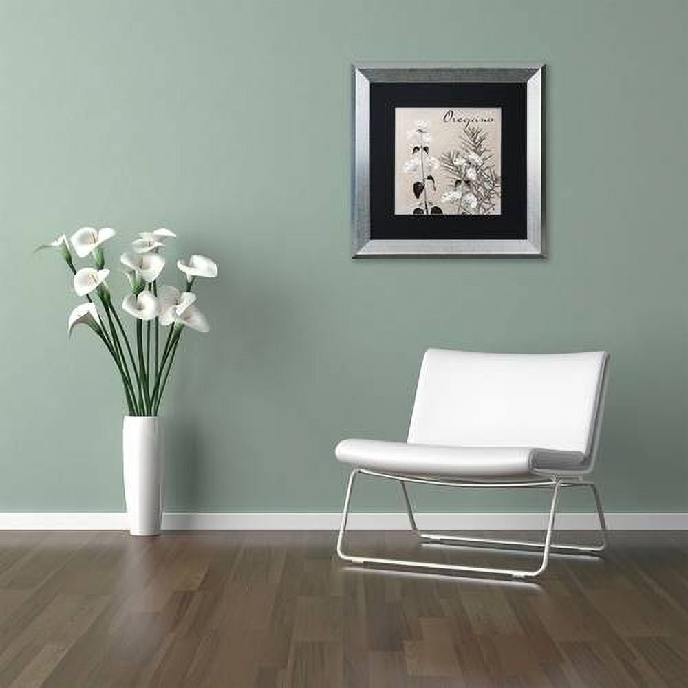Trademark Fine Art "Flowering Herbs II" Canvas Art by Color Bakery Black Matte, Silver Frame