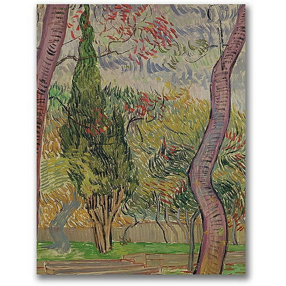 Trademark Fine Art "The Park At Saint-Paul" Canvas Wall Art by Vincent van Gogh