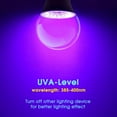 thumbnail image 3 of Black Light Bulbs,9 W LED Black Light Bulb for Halloween Decoration, UVA 385-400nm UV Black Light, A19 Blacklight Bulb for Glow in Dark, Body Paint Fluorescent Poster Glow Party, 2 Pack, 3 of 6
