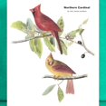 thumbnail image 2 of CafePress - Audubon Northern Cardinal Bird Cap - Adjustable 100% Brushed Unisex Casual Cotton Baseball Cap, Beige, 1, 2 of 2