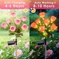 thumbnail image 4 of Oziral Solar Flowers Lights Outdoor, 2 pack Waterproof Garden Light LED Roses Solar Stakes, Patio Lawn Grave Backyard Pathway Yard Decor, 8 Modes, 4 of 9