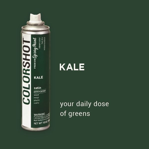 COLORSHOT Satin Spray Paint, Kale (Dark Green), 10 oz, Fast-Drying Acrylic Paint, Indoor & Outdoor Use