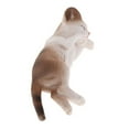 thumbnail image 2 of ziyahi Simulation Animal Model Kids Educational Toys panda side sleeping PL127-1514, 2 of 9