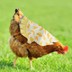 thumbnail image 4 of Delantal de gallina con montura de pollo de 3 piezas, chaqueta de pollo, delantal de gallina, fijador de plumas, cubierta trasera de ala de aves de corral, 4 of 6