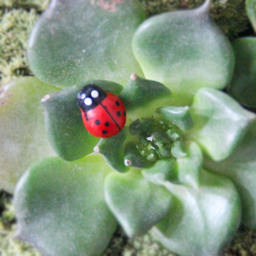 20pcs Mini Ladybug Fairy Garden Miniature DIY Micro P8J4 Ornament Landscape Q4L1 
