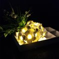 thumbnail image 3 of Volkmi Guirlande Lanterne d'Oeufs Simulés à 20 LED 4_warm white, 3 of 9