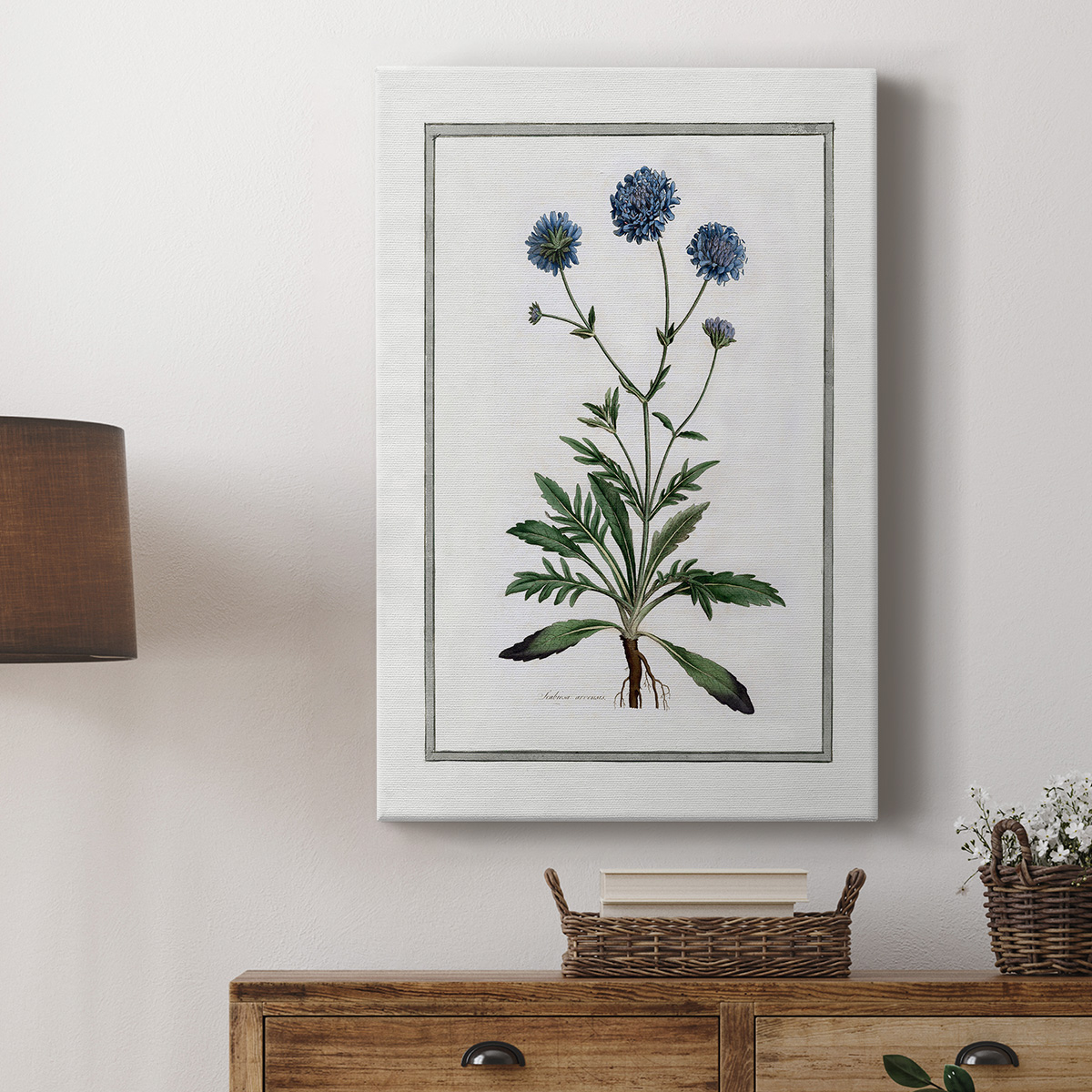 Soft Botanical II Premium Gallery Wrapped Canvas - Ready to Hang