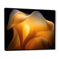 thumbnail image 2 of Designart "Sunlit Yellow Floral Portrait" Flowers Floater Framed Canvas Art Print, 2 of 5