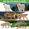 thumbnail image 4 of Figuras de animales Toymany Mini North American Forest, 14 unidades, 4 of 8