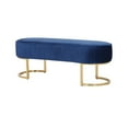 thumbnail image 1 of BANC D'ORCHIDÉE en Bleu, 1 of 4