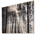 thumbnail image 1 of Design Art - Faisceaux de Soleil à Travers Forêt Noire et Blanche, 1 of 5